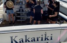 Evening Lake Taupō Boat Charter Kakariki Catamaran