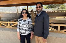 Archaeological Sanctuary of Pachacamac: traveling to ancient Peru