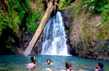 Chasing Waterfalls Tour in Grenada