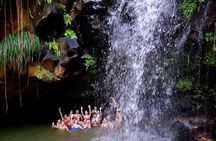 Chasing Waterfalls Tour in Grenada
