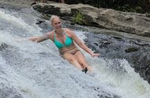 Rainforest Adventure All inclusive Food and Fotos 