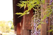 Quiet Highlights Walking Tour in Kanazawa
