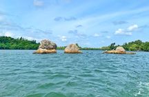 Galle: Koggala River Boat Safari with Monkeys Birds & Nature