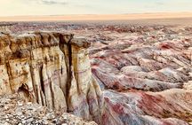 8 Days Gobi Desert and Kharkhorin Journey