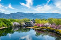 Private Garden Tour: The Summer Palace and Beijing Botanical Garden