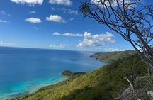 Brewers Cave Hike & Snorkel with Sea Turtles