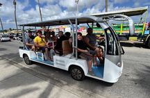 * New Product *Private Island Cruiser (10) persons tour & Rentals