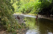 6 hr Holistic Nature Rest & Refresh Retreat Experience in Tobago