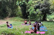6 hr Holistic Nature Rest & Refresh Retreat Experience in Tobago