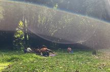 6 hr Holistic Nature Rest & Refresh Retreat Experience in Tobago