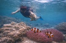 Private Batam Island Snorkeling and Canoe from Singapore