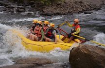 Corobici River Floating Safari: Family-Friendly Eco Adventure