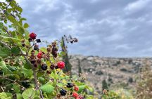 Ancient Ruins, Lush Valleys & Traditional Local Flavors, Private