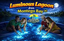 Luminous Lagoon from Montego Bay