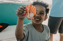 Destin Dolphin Watching and Shelling Tour