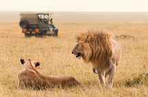 Day Trip to Amboseli National Park with a view of Mt Kilimanjaro