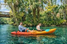 Silver Springs Guided Kayak Tour with Orlando Shuttle