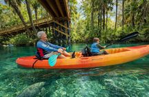 Silver Springs Guided Kayak Tour with Orlando Shuttle