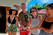 Northern Grenada Discovery Tour