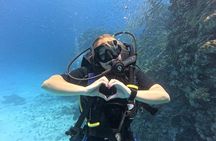 PADI Advanced Open Water Diver Course Hurghada . ENG - DE - FR