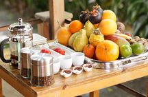 Boutique Alchemic Tasting of Coffee Cacao and Fruits in Medellin