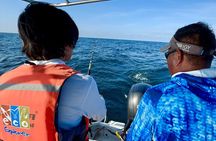 Private 4 Hour Fishing Trip in Puerto Vallarta