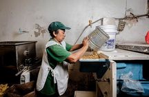 Yucatán Flavours Food Tour with 15+ Tastings