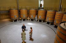 Iconic Hawke’s Bay Wines: Private Premium Tour