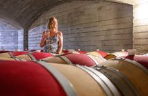 Iconic Hawke’s Bay Wines: Private Premium Tour