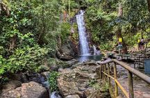 Swim and Unwind at a Scenic Waterfall from Hopkins Village