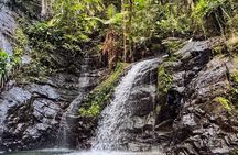 Swim and Unwind at a Scenic Waterfall from Hopkins Village