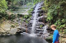 Swim and Unwind at a Scenic Waterfall from Hopkins Village
