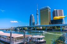 Tokyo Private Guided Day Tour with Private Vehicle Hotel Pickup