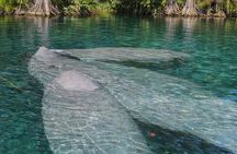 Silver Springs Guided Kayak Tour with Orlando Shuttle