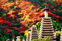 Beijing Private Tour to Fragrant Hill and Temple of Azure Clouds with Cable Car