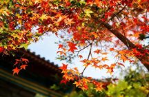 Beijing Private Tour to Summer Palace and Fragrant Hill with Cable Car Ride