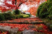 Beijing Private Tour to Summer Palace and Fragrant Hill with Cable Car Ride