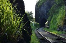 9 Day Tour of Sri Lanka Culture and Beaches