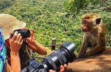 9 Day Tour of Sri Lanka Culture and Beaches