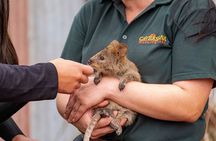 Private Tour: Full Day Wildlife Park and Swan Valley - from Perth