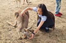 Private Tour: Full Day Wildlife Park and Swan Valley - from Perth