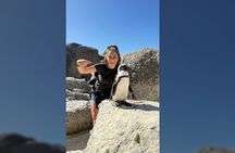 Cape of Good Hope& Penguins at Boulders Beach full day tour