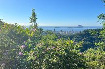 Waterfall Route A hidden jewel in Tijuca Park