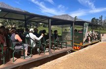 Full Day shared Stellenbosch and Franschhoek Tram Wine Tasting 