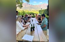 Full Day shared Stellenbosch and Franschhoek Tram Wine Tasting 