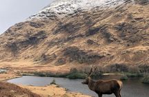 Private Guided Tours of Scotland Bespoke Adventures