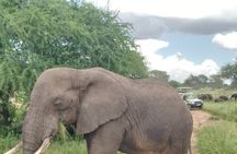 Ngorongoro Crater 3 Day Private Tour