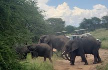 Ngorongoro Crater 3 Day Private Tour