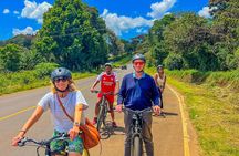 Tigoni Electric Bike Tours