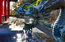 Sakai Mozu Kofun Tombs Tour and Tea Ceremony